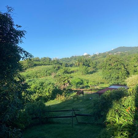 Grand T2 Tout Confort , Emplacement Ideal Riviere-Salee Bagian luar foto
