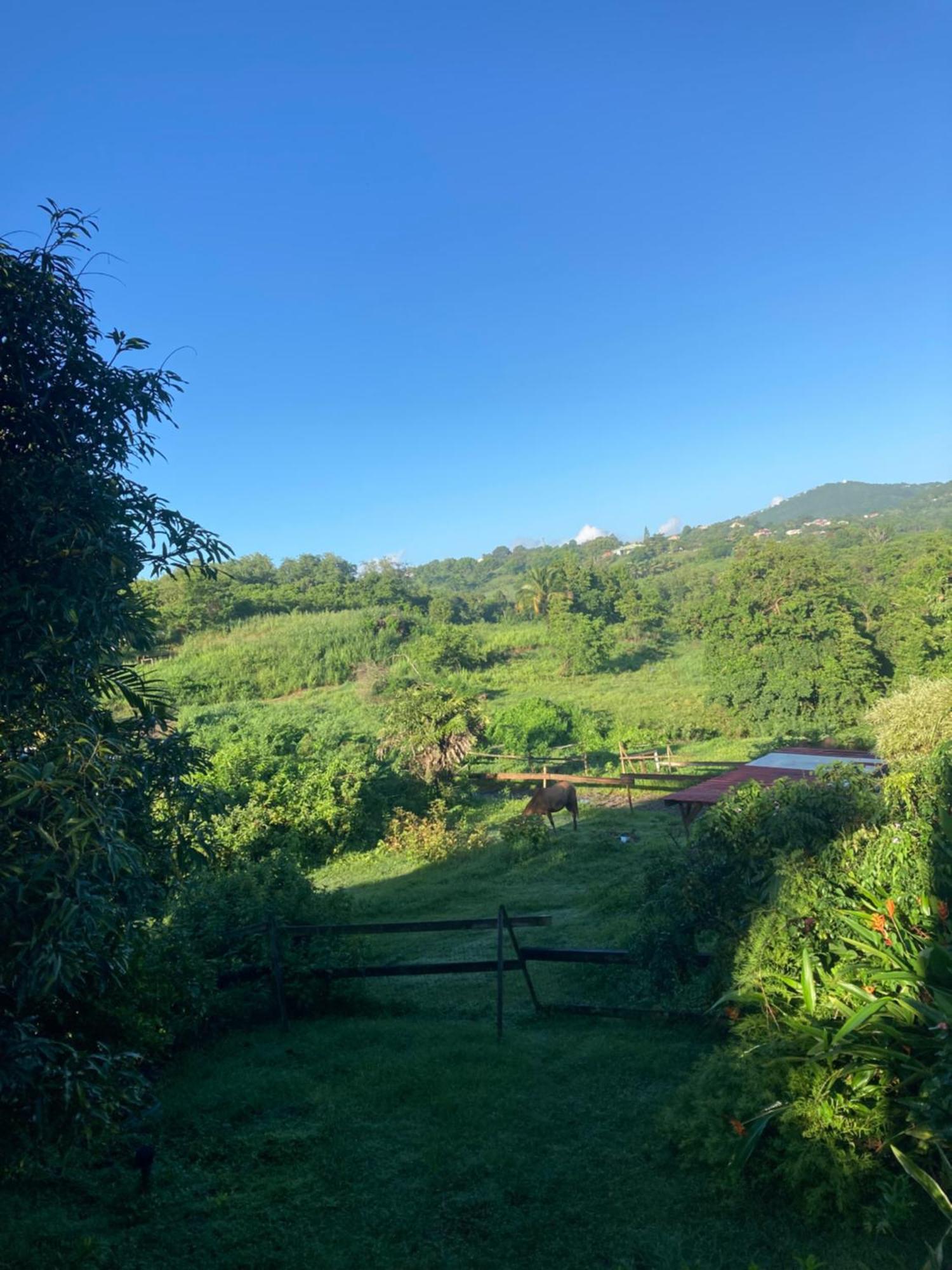 Grand T2 Tout Confort , Emplacement Ideal Riviere-Salee Bagian luar foto